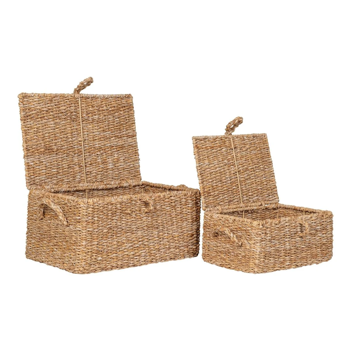 2-pk Bogora kurver sjøgress - Image 3