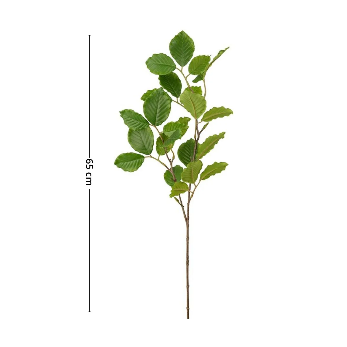 Mr. Plant bøk - Image 2