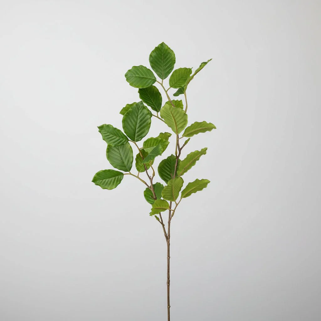 Mr. Plant bøk - Image 4