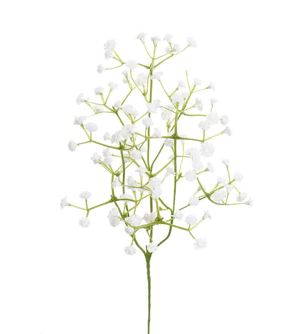 Mr. Plant brudeslør - Image 2