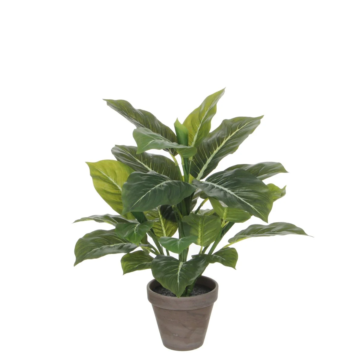 Evergreen kunstig plante grønn grå 49 cm med potte - Image 7