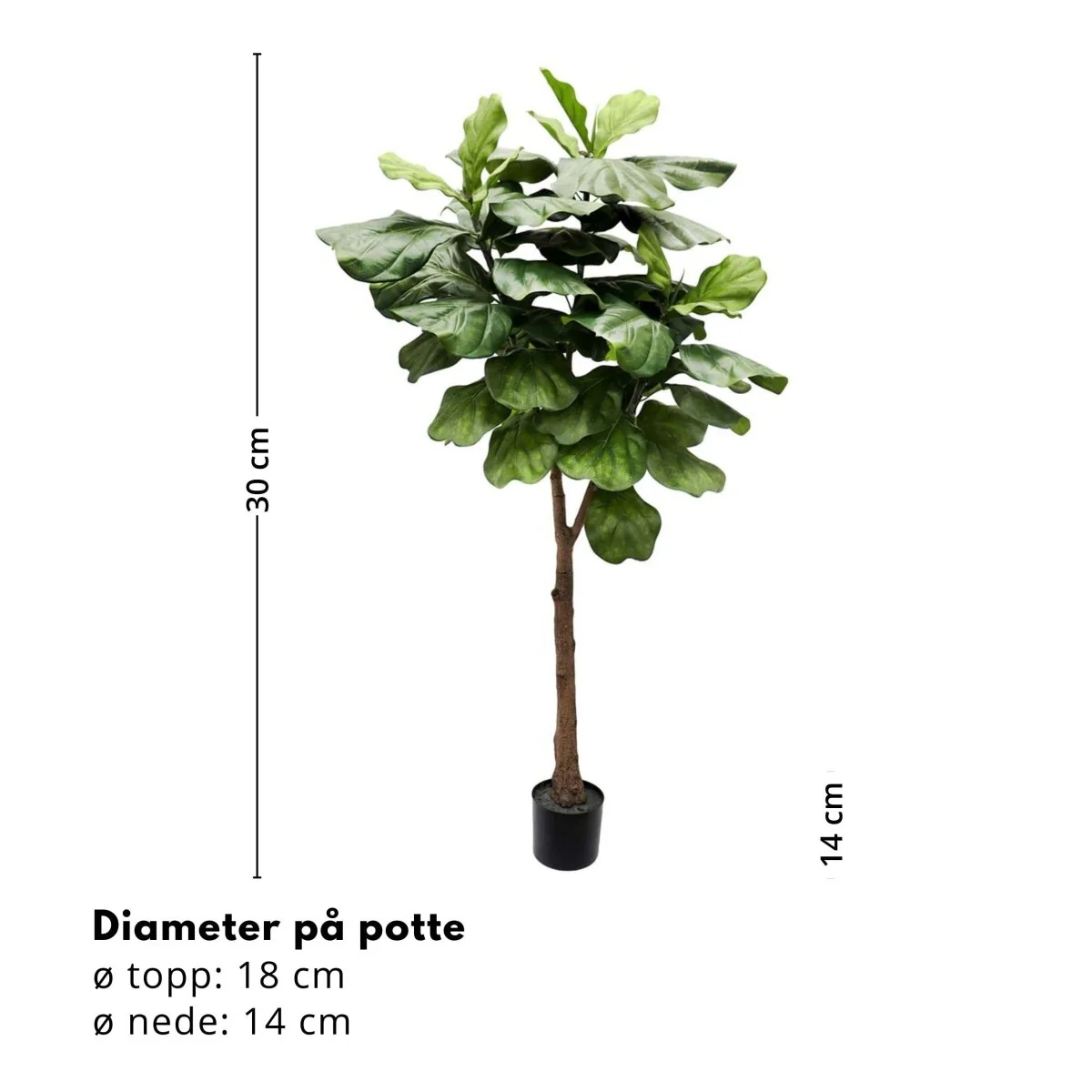 Mr. Plant Fiolfikus 30 cm - Image 3