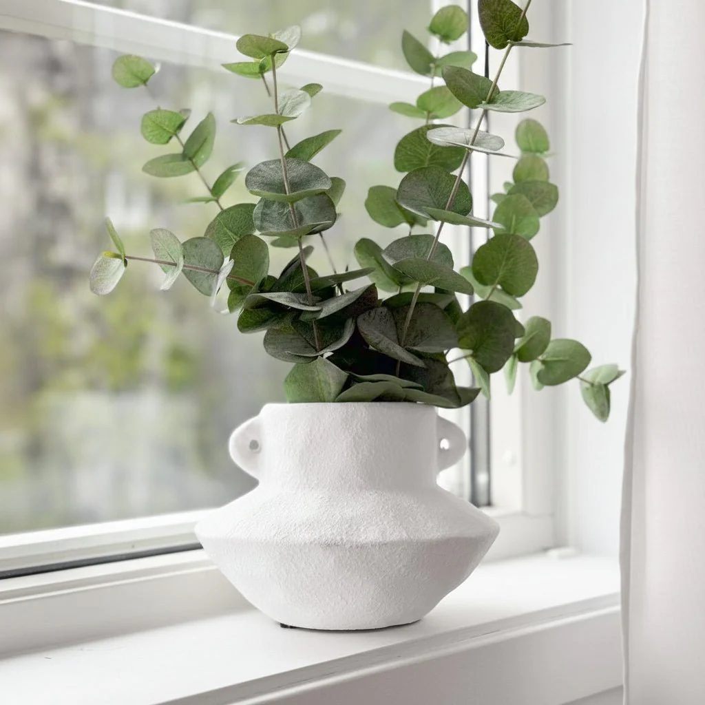 Mr. Plant Eucalyptus 60 cm - Image 2