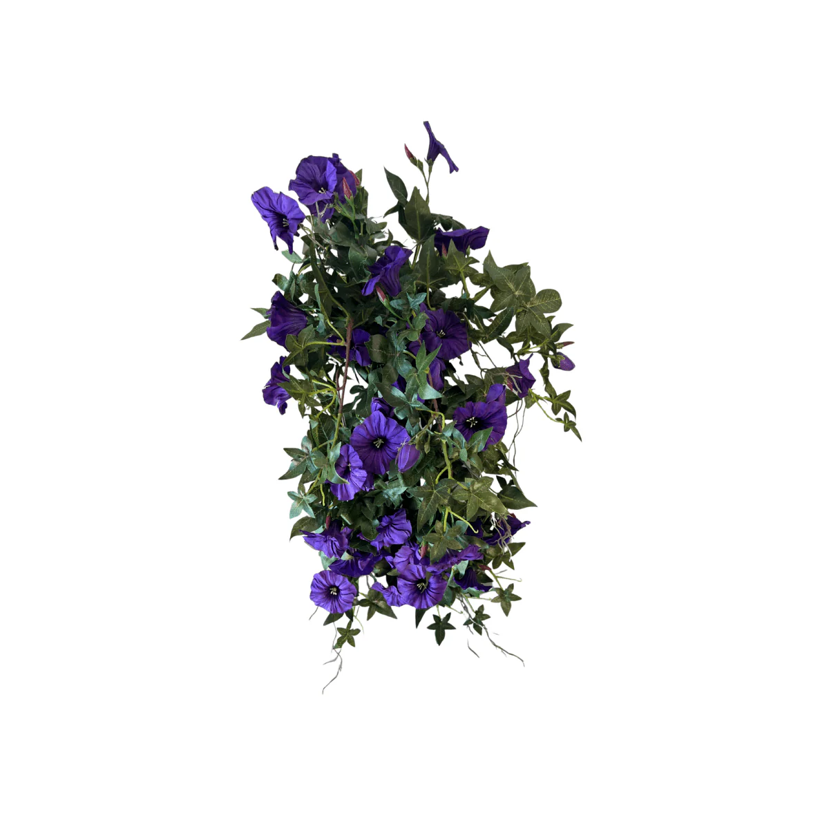 Mr. plant blomma för dagen - Image 2