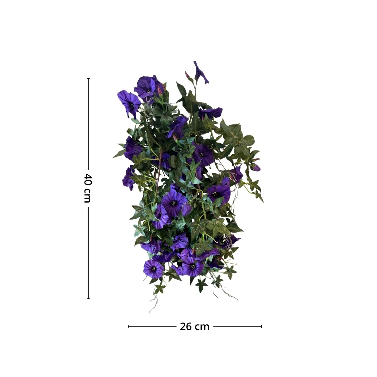 Mr. plant blomma för dagen - Image 3