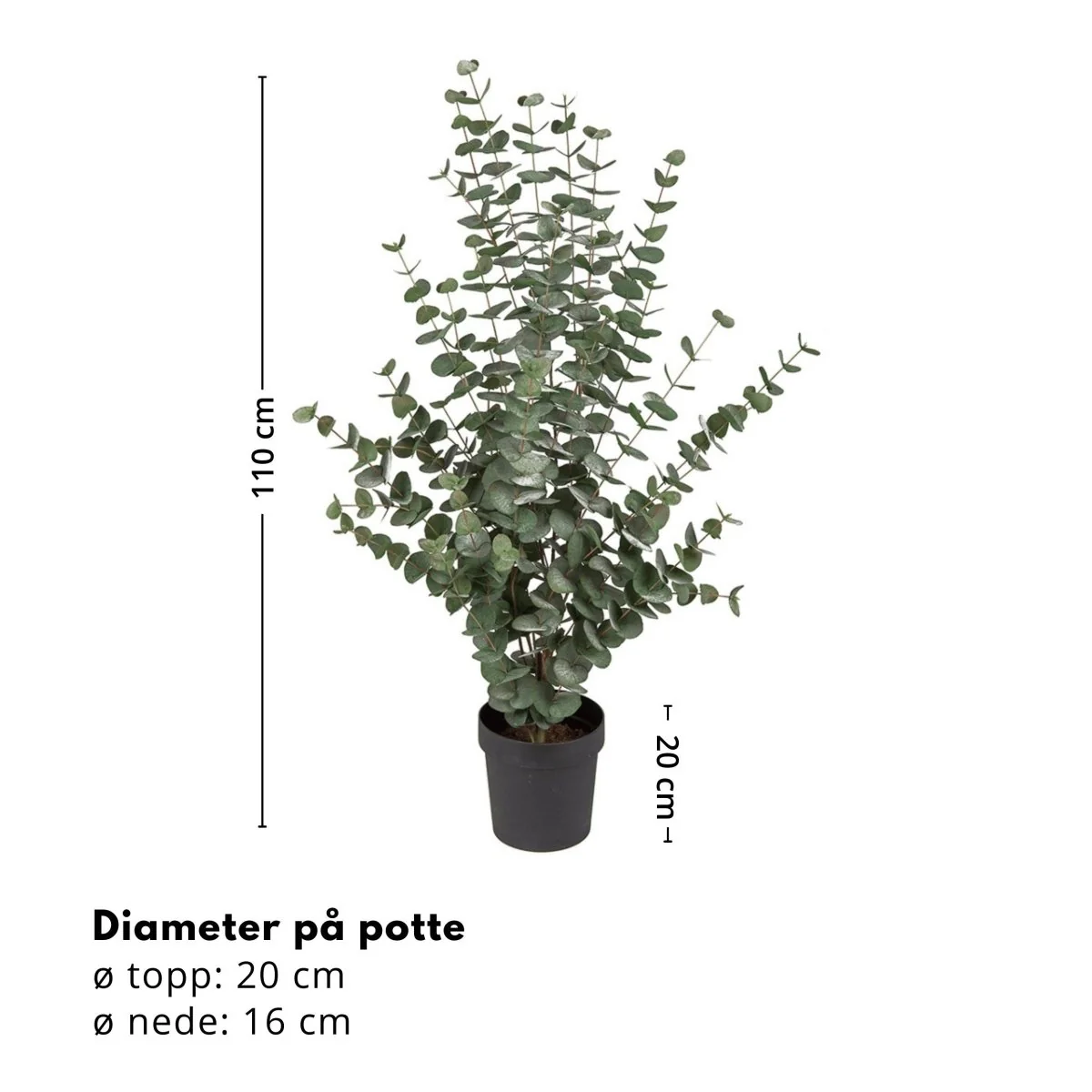 Mr. Plant Eucalyptus 110 cm - Image 7