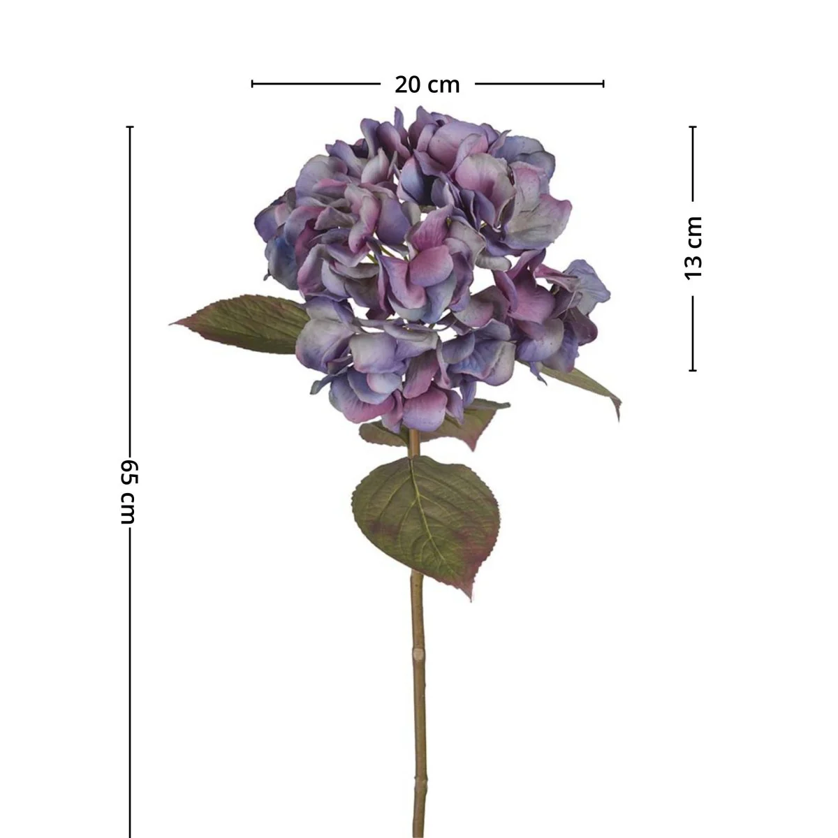 Mr. Plant Hortensia blå/lilla, 65 cm - Image 4