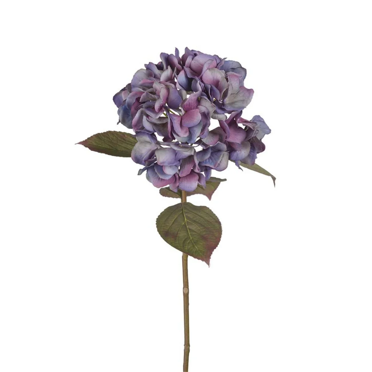 Mr. Plant Hortensia blå/lilla, 65 cm - Image 6