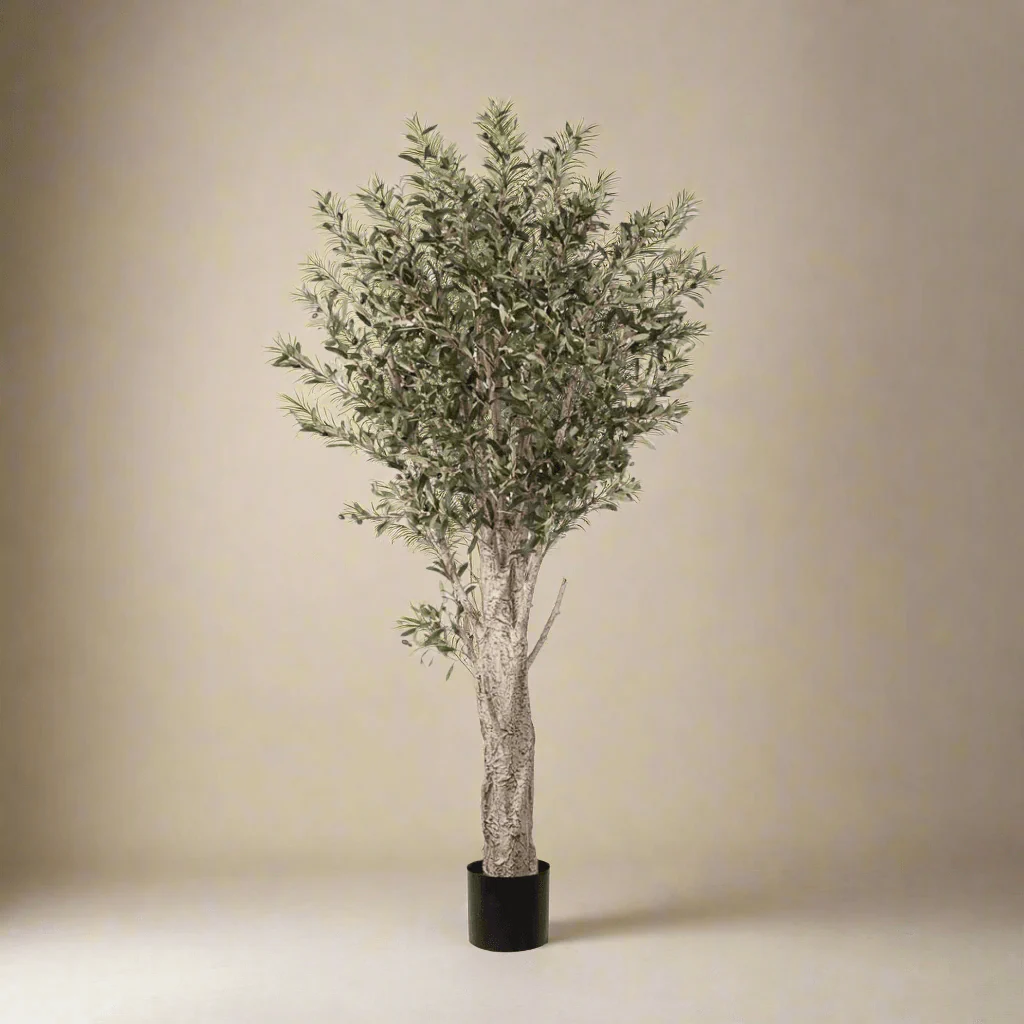 Mr. Plant Oliventre 190 cm - Image 3