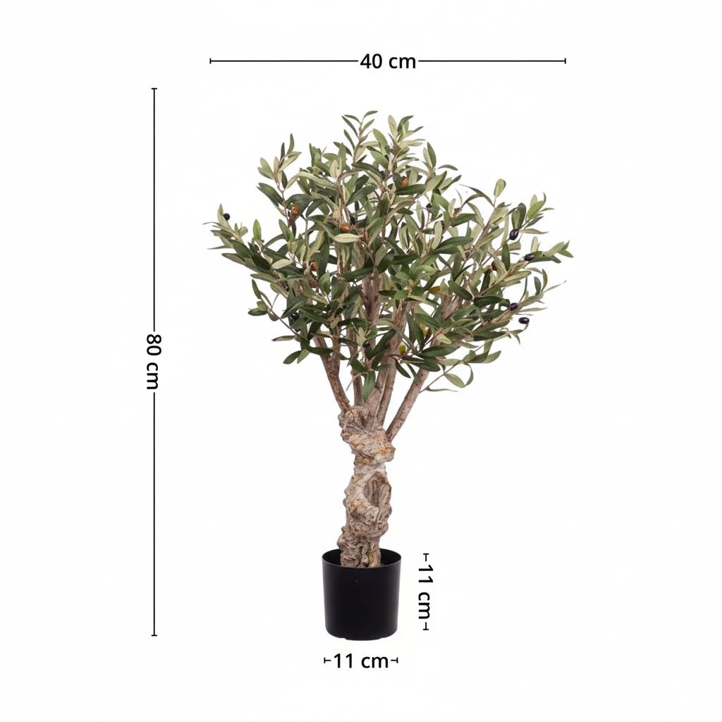 Mr. Plant Oliventre 80 cm - Image 5