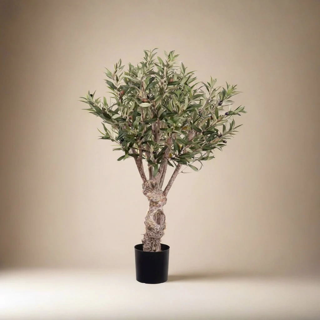 Mr. Plant Oliventre 80 cm - Image 6