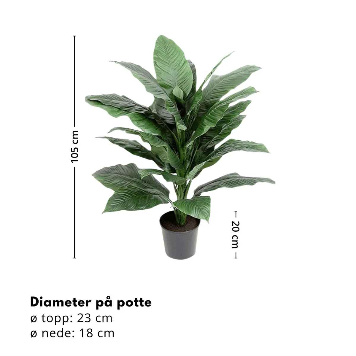 Mr. Plant Spathiphyllum 105 cm - Image 3
