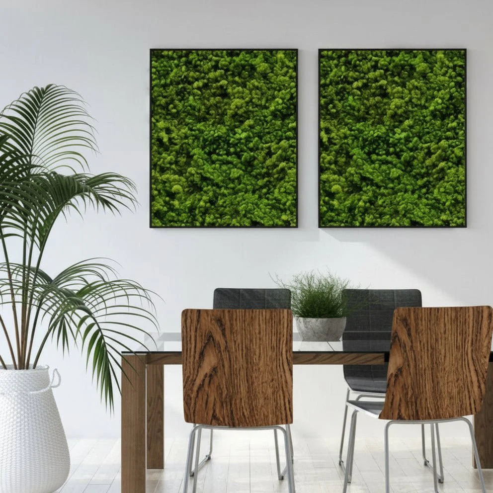 Oak robust kontaktplast - Image 5