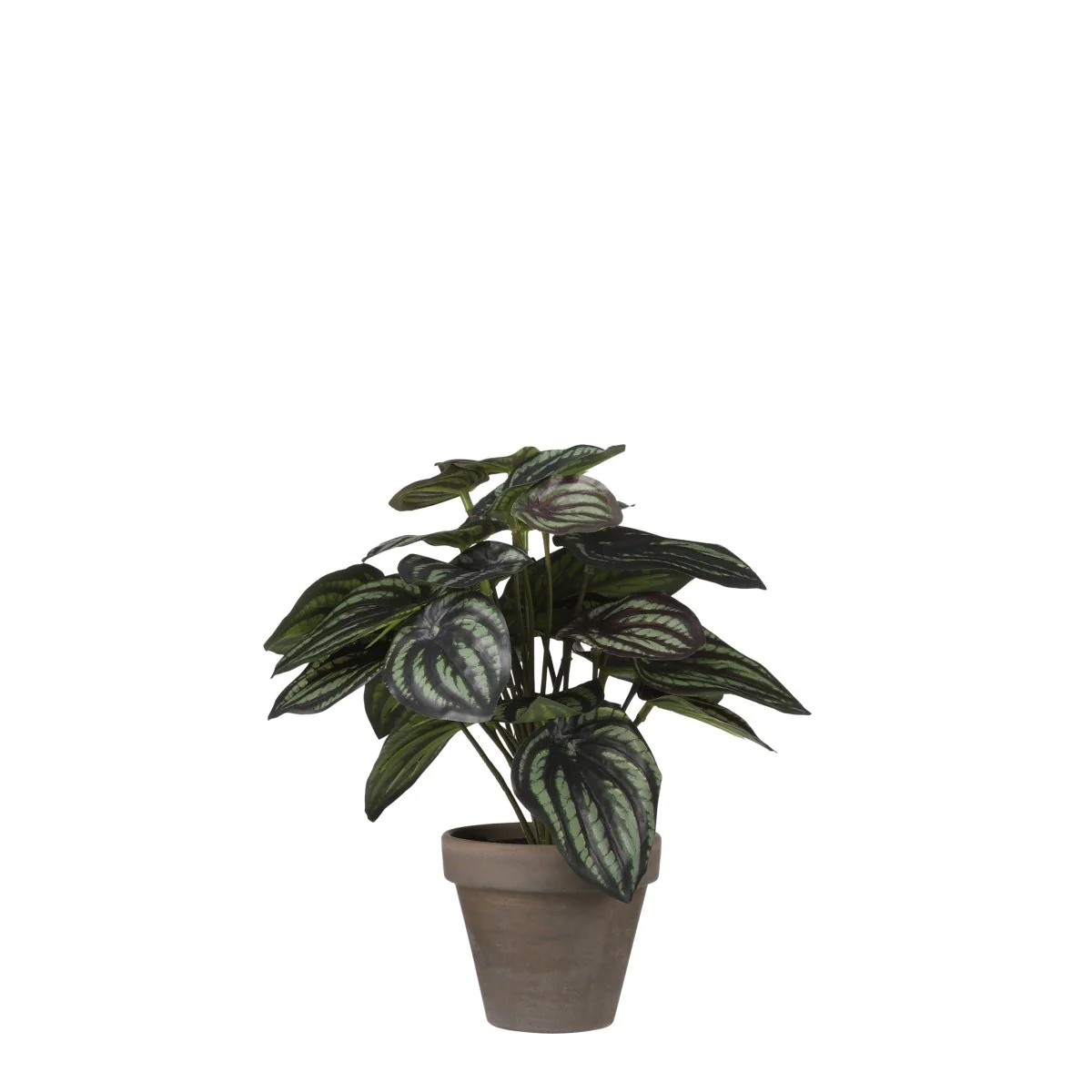 Peperomia kunstig plante grønn grå med potte
