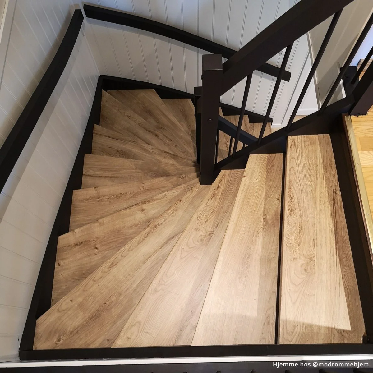 Ribbeck oak kontaktplast - Image 4