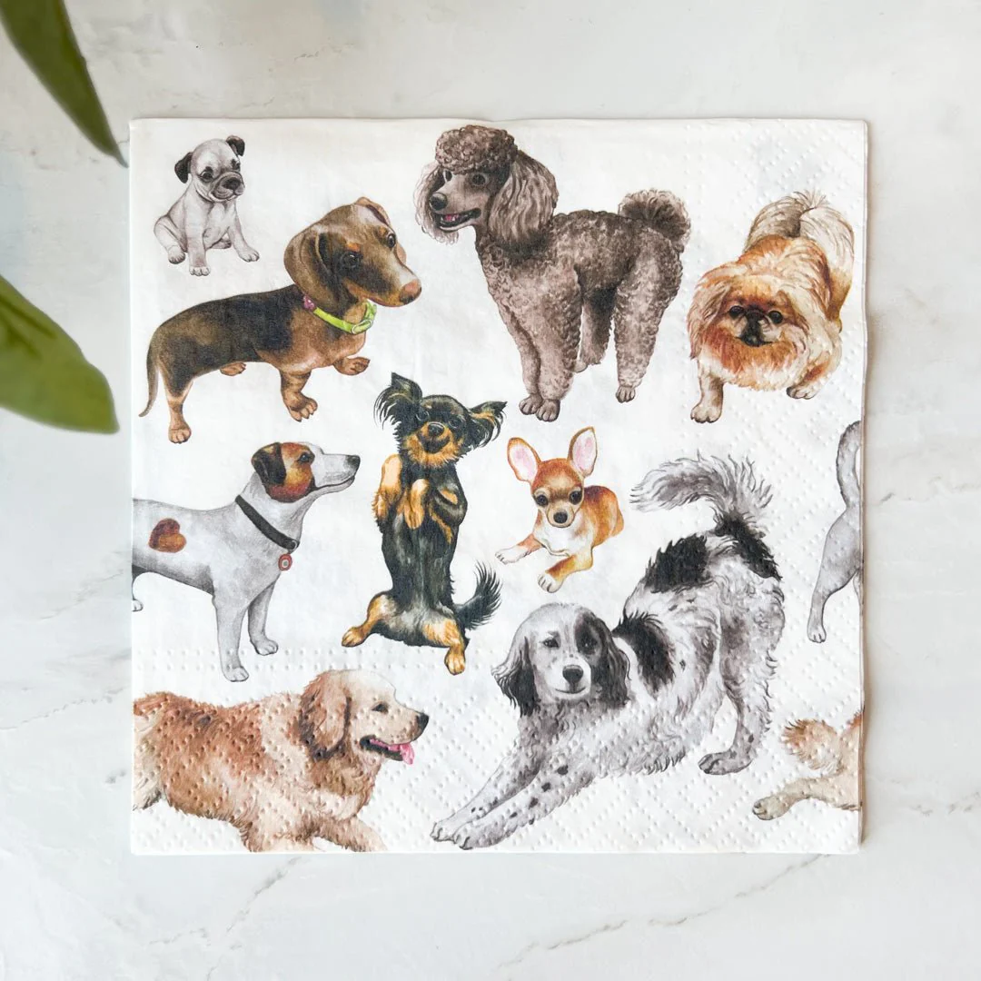 20-pk Servietter Happiness - Image 3