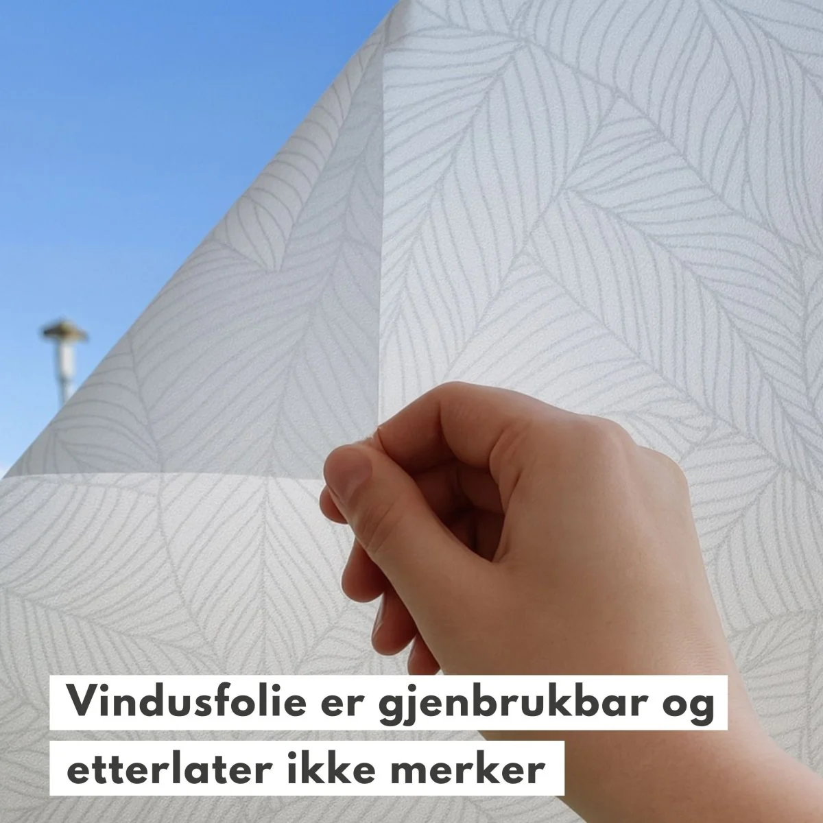 Static premium blader vindusfolie - Image 5