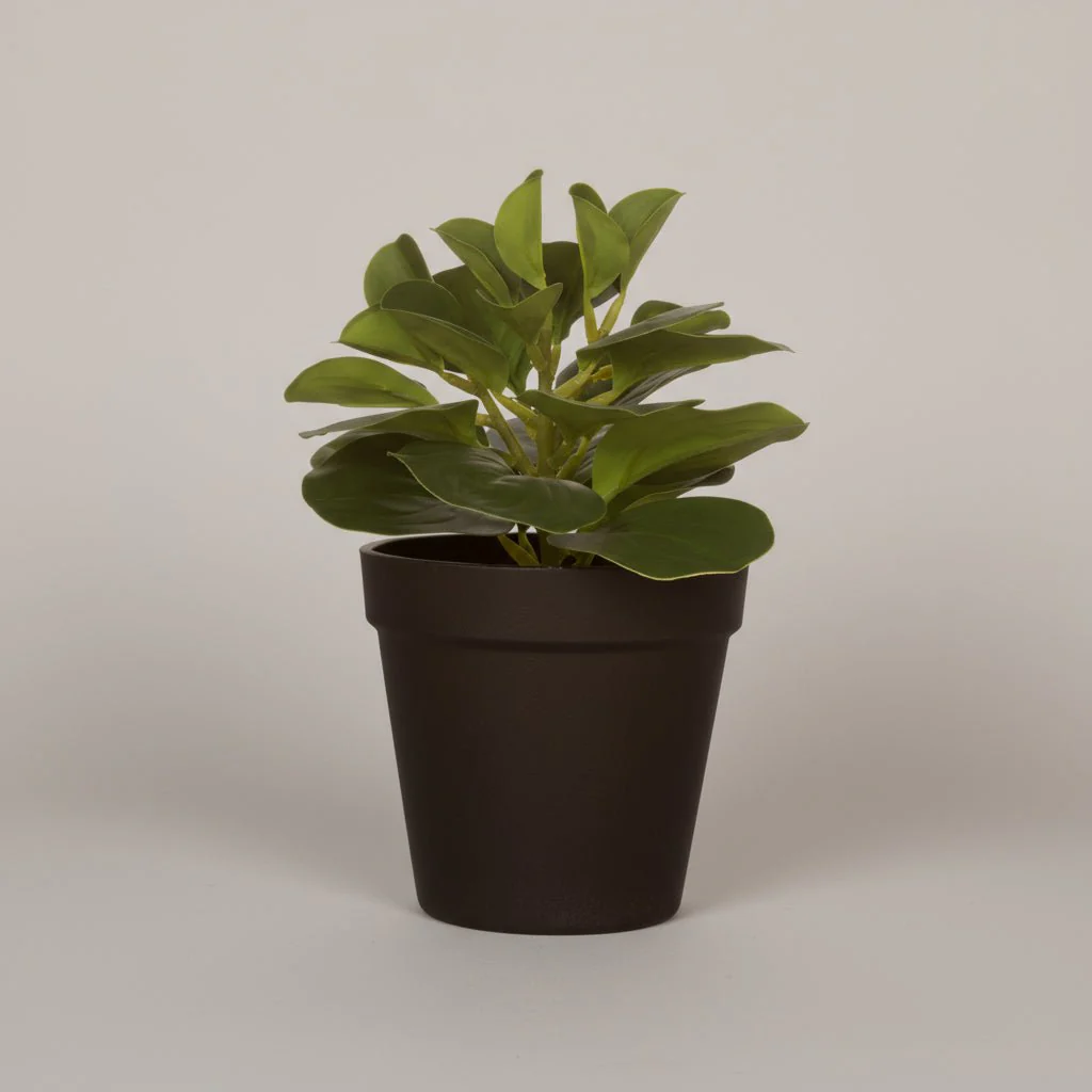 Kunstplante sukkulent potte 15 x 21 cm