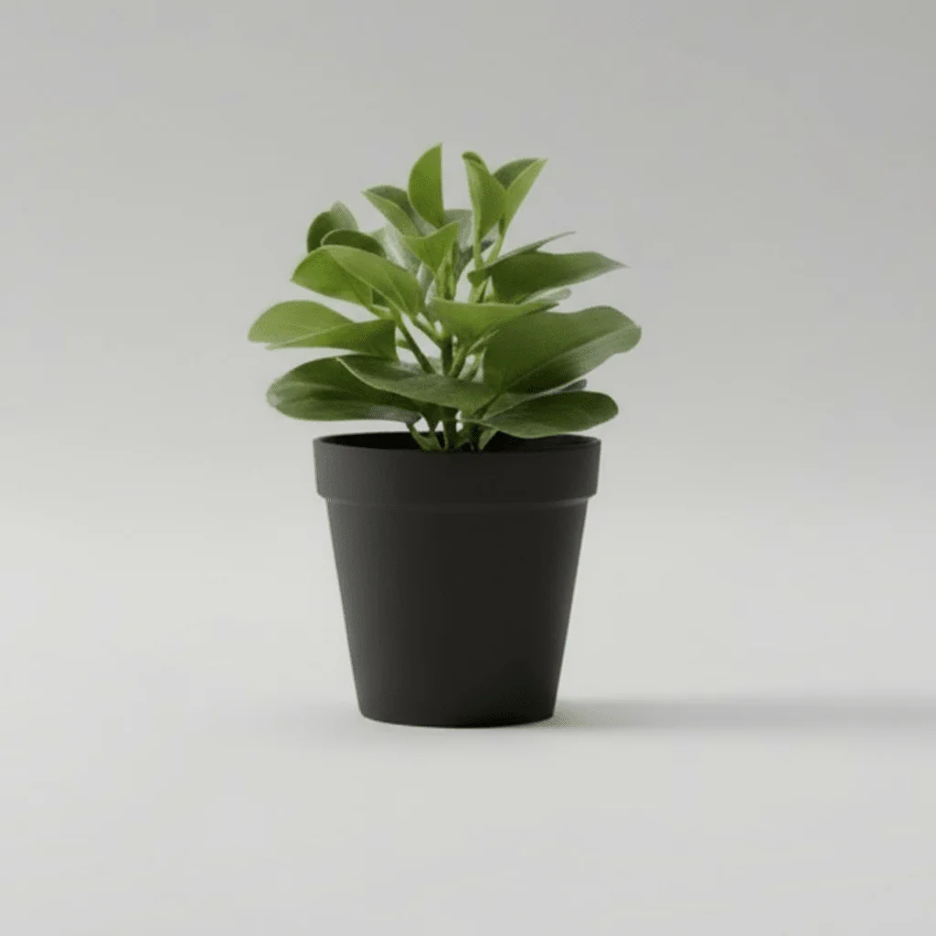 Kunstplante sukkulent potte 15 x 21 cm - Image 3
