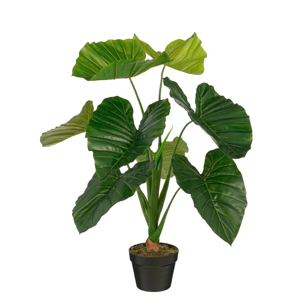 Taro kunstig plante grønn med store blader og potte