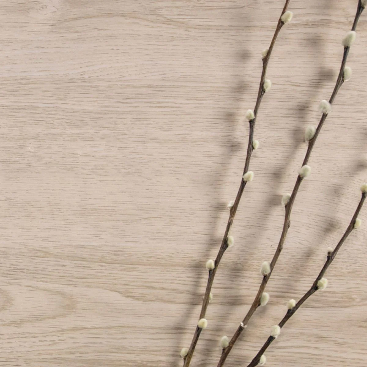 Vareprøve: Oak Minimal kontaktplast - Image 8